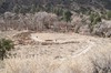 2018-01-16 to 2018-01-20 Bandolier and Jemez NM 026